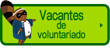 voluntariado